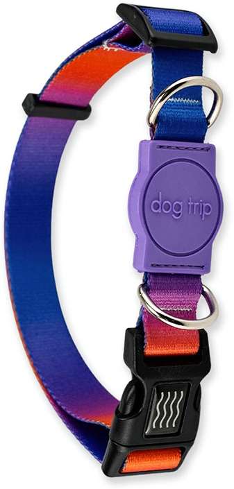 Coleira Premium Dog Trip Brasil Padang para Cães - Tam. G