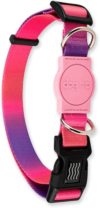 Coleira Premium Dog Trip Brasil Peniche para Cães - Tam. PP