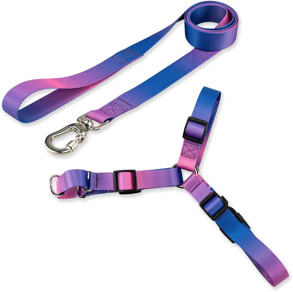 Kit Guia + Peitoral Antipuxão Basic Pet Roxo e Azul Lily para Cães - Tam. P