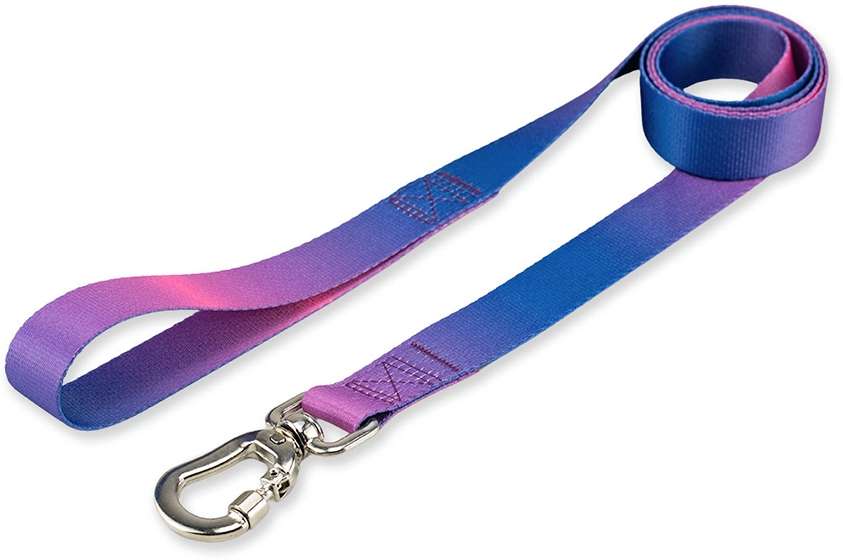 Kit Guia + Peitoral Antipuxão Basic Pet Roxo e Azul Lily para Cães - Tam. P