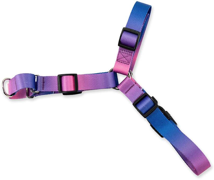 Kit Guia + Peitoral Antipuxão Basic Pet Roxo e Azul Lily para Cães - Tam. P