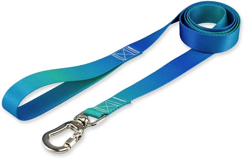 Kit Guia + Peitoral Antipuxão Basic Pet Verde e Azul Lake para Cães - Tam. M