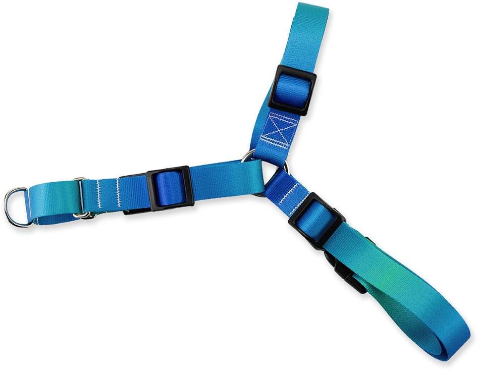 Kit Guia + Peitoral Antipuxão Basic Pet Verde e Azul Lake para Cães - Tam. M