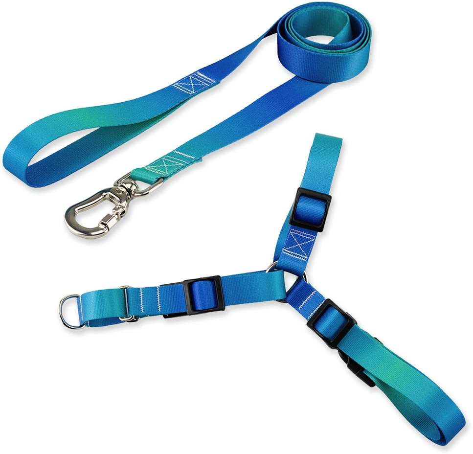 Kit Guia + Peitoral Antipuxão Basic Pet Verde e Azul Lake para Cães - Tam. M