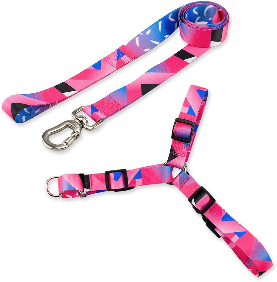 Kit Guia + Peitoral Antipuxão Basic Pet Rosa Lawn para Cães -Tam. G