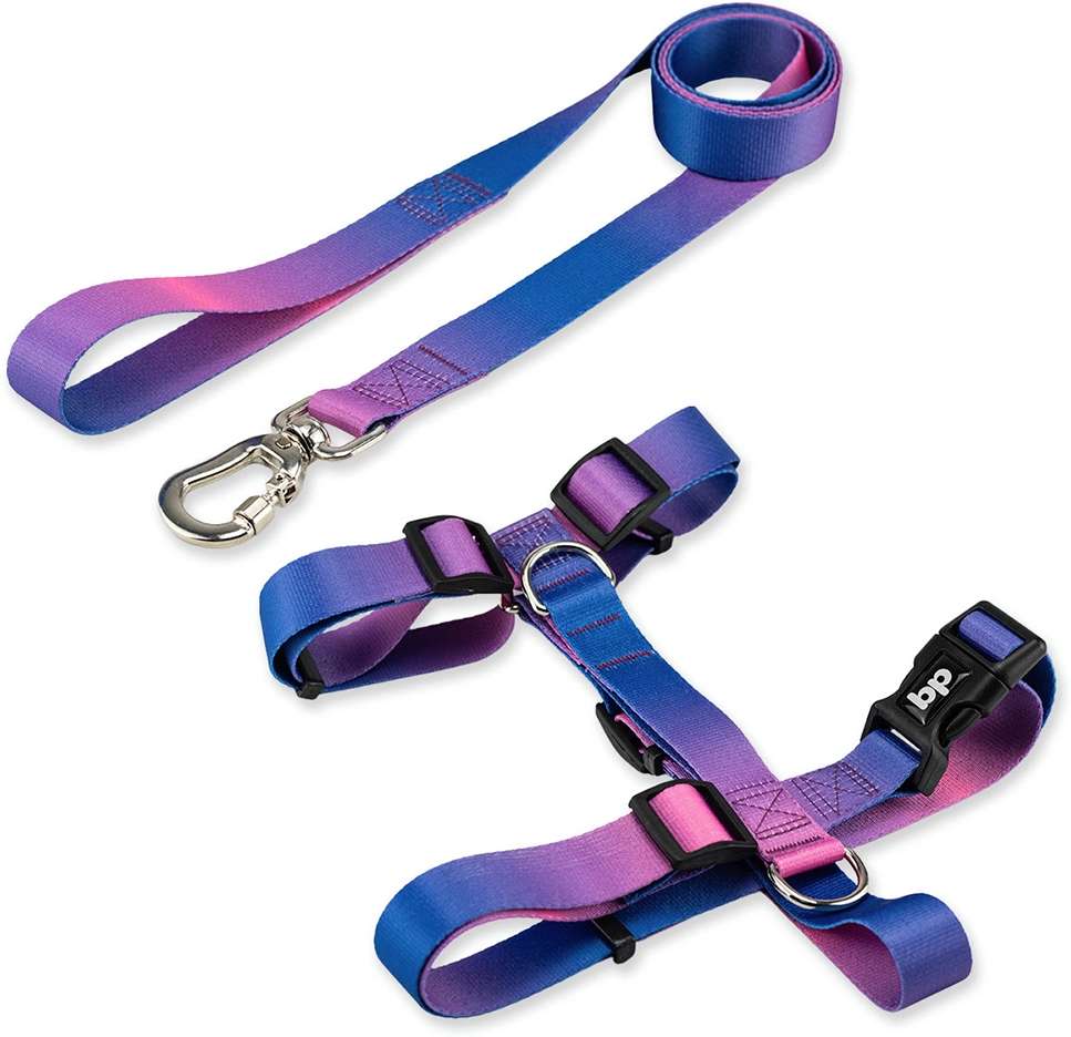 Kit Guia + Peitoral H Basic Pet Roxo e Azul Lily para Cães - Tam. P