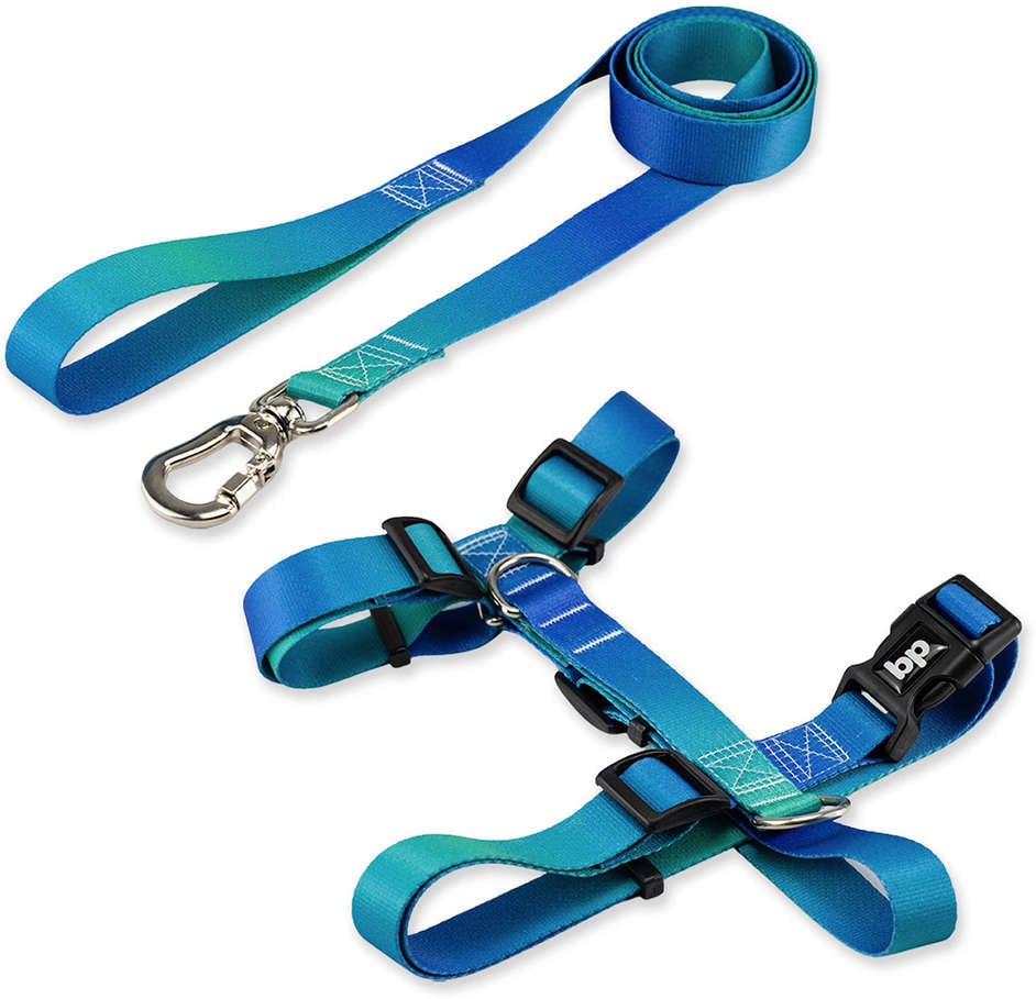 Kit Guia + Peitoral H Basic Pet Verde e Azul Lake para Cães - Tam. M