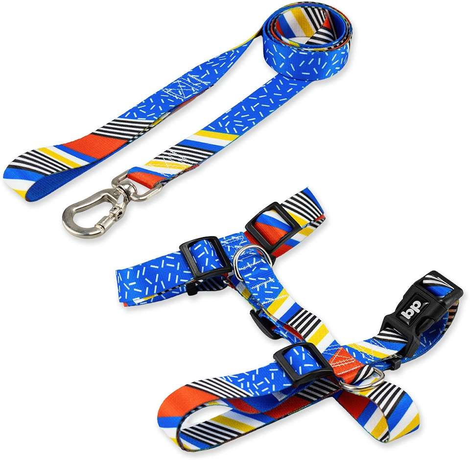 Kit Guia + Peitoral H Basic Pet Azul Stem para Cães - Tam. G