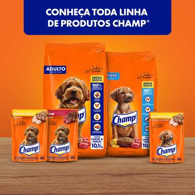 Ração Champ Carne e Cereais para Cães Adultos