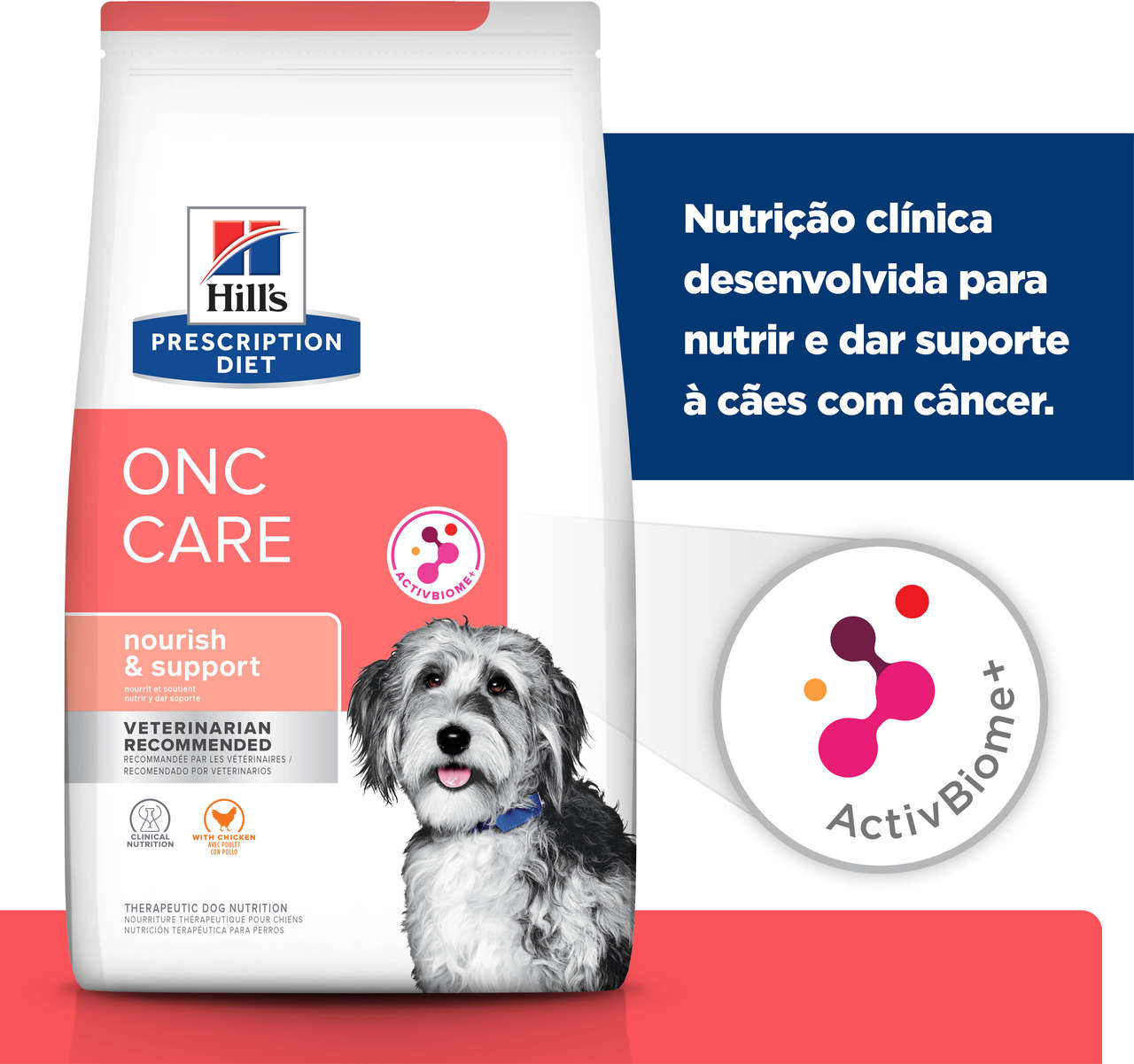 Ração Seca Hill's Prescription Diet ONC Care Cuidado Oncológico para Cães - 2,72Kg
