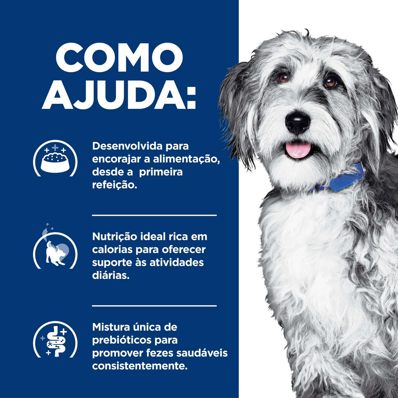 Ração Seca Hill's Prescription Diet ONC Care Cuidado Oncológico para Cães - 2,72Kg