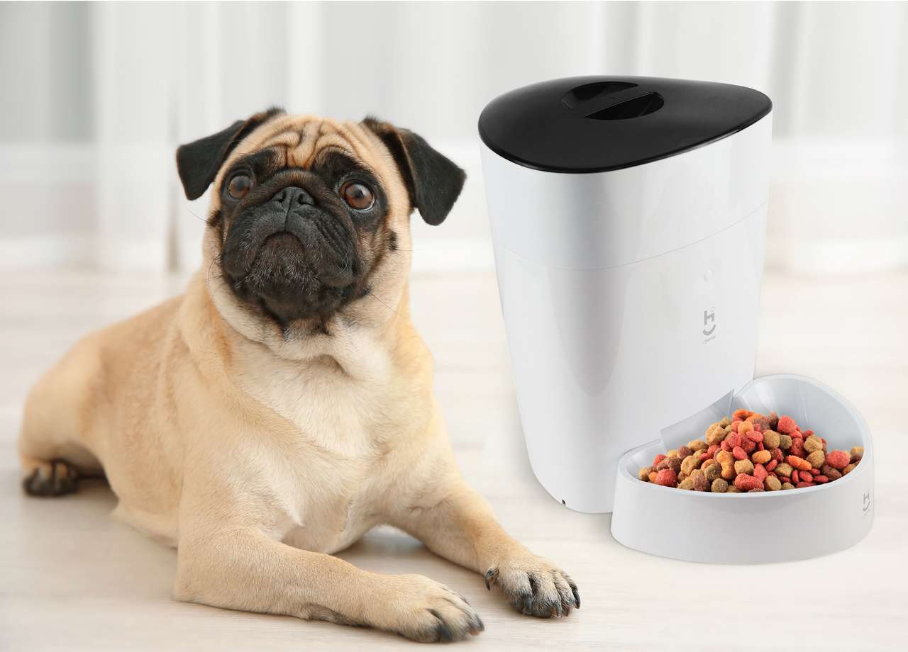 Alimentador Automático Inteligente Geonav Wi-fi para Cães Pequenos e Gatos - Tam. Único