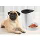 Alimentador Inteligente Geonav Wi-fi para Cães e Gatos