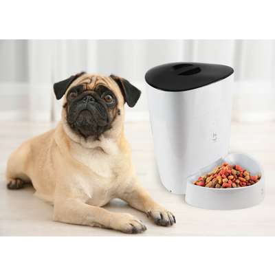Alimentador Inteligente Geonav Wi-fi para Cães e Gatos