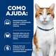 Ração Seca Hill's Prescription Diet ONC Care Cuidado Oncológico para Gato