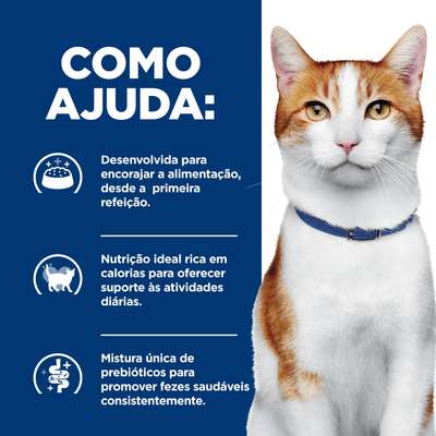 Ração Seca Hill's Prescription Diet ONC Care Cuidado Oncológico para Gato