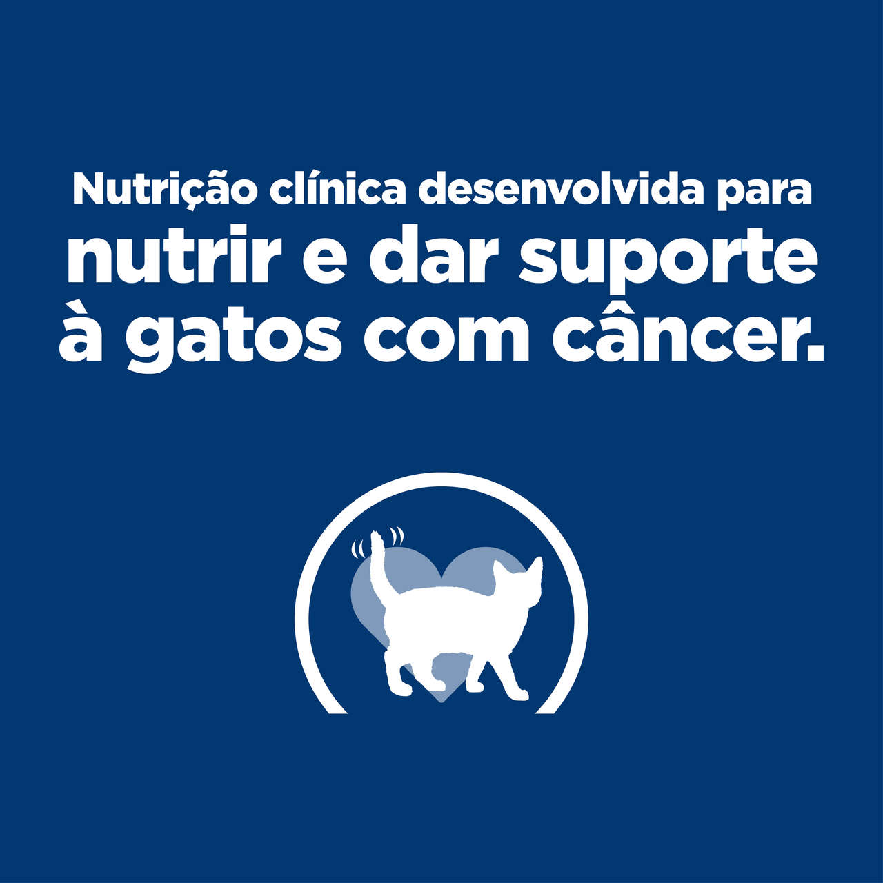Ração Seca Hill's Prescription Diet ONC Care Cuidado Oncológico para Gatos - 3,17Kg