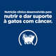 Ração Seca Hill's Prescription Diet ONC Care Cuidado Oncológico para Gato