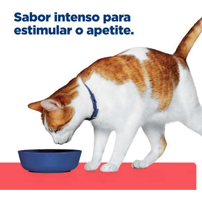 Ração Seca Hill's Prescription Diet ONC Care Cuidado Oncológico para Gato