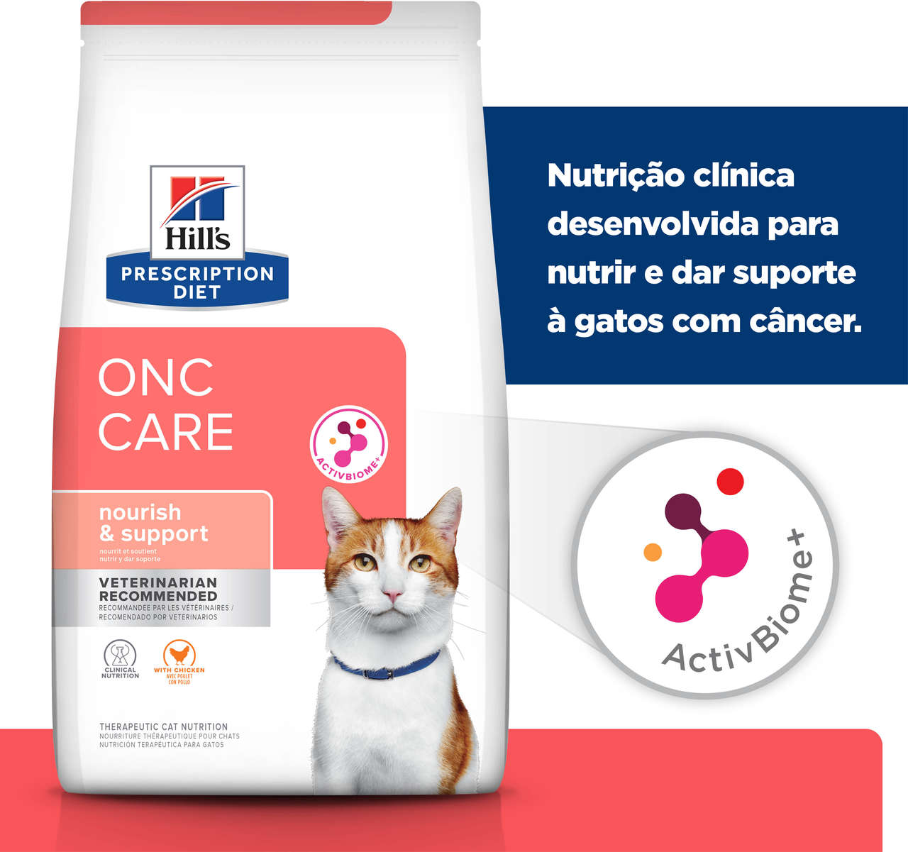 Ração Seca Hill's Prescription Diet ONC Care Cuidado Oncológico para Gatos - 3,17Kg