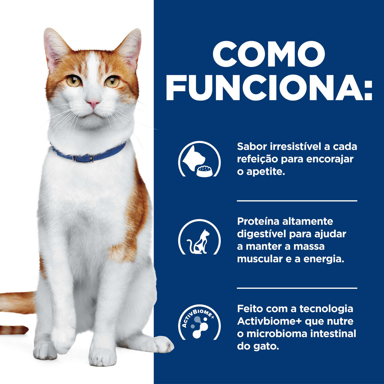 Ração Seca Hill's Prescription Diet ONC Care Cuidado Oncológico para Gatos - 3,17Kg