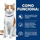 Ração Seca Hill's Prescription Diet ONC Care Cuidado Oncológico para Gato