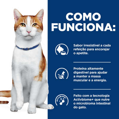 Ração Seca Hill's Prescription Diet ONC Care Cuidado Oncológico para Gato