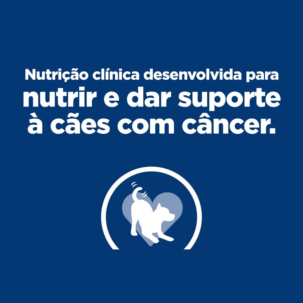 Ração Úmida Hill's Prescription Diet ONC Care Cuidado Oncológico para Cães - 354 g