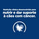 Ração Úmida Hill's Prescription Diet ONC Care Cuidado Oncológico para Cães
