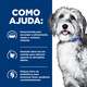 Ração Úmida Hill's Prescription Diet ONC Care Cuidado Oncológico para Cães