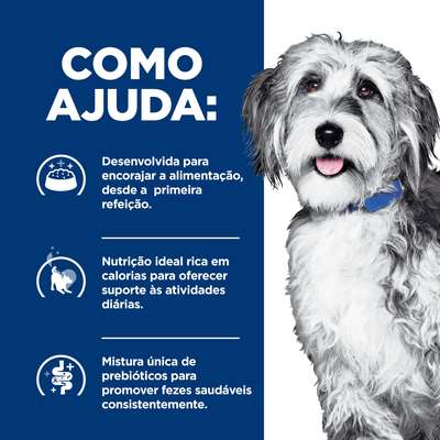 Ração Úmida Hill's Prescription Diet ONC Care Cuidado Oncológico para Cães