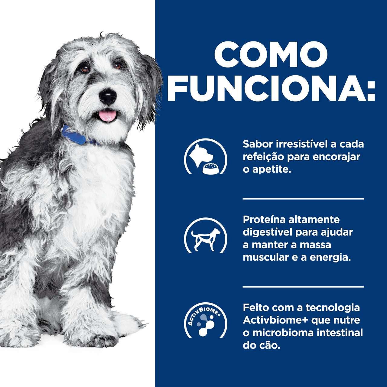 Ração Úmida Hill's Prescription Diet ONC Care Cuidado Oncológico para Cães - 354 g