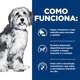Ração Úmida Hill's Prescription Diet ONC Care Cuidado Oncológico para Cães