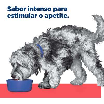 Ração Úmida Hill's Prescription Diet ONC Care Cuidado Oncológico para Cães