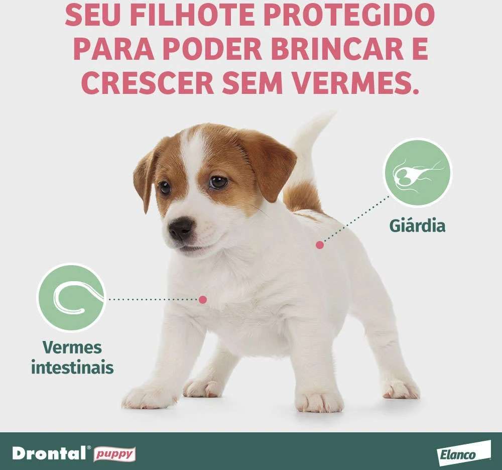 Vermífugo Drontal Puppy para Cães Filhotes - 20 mL