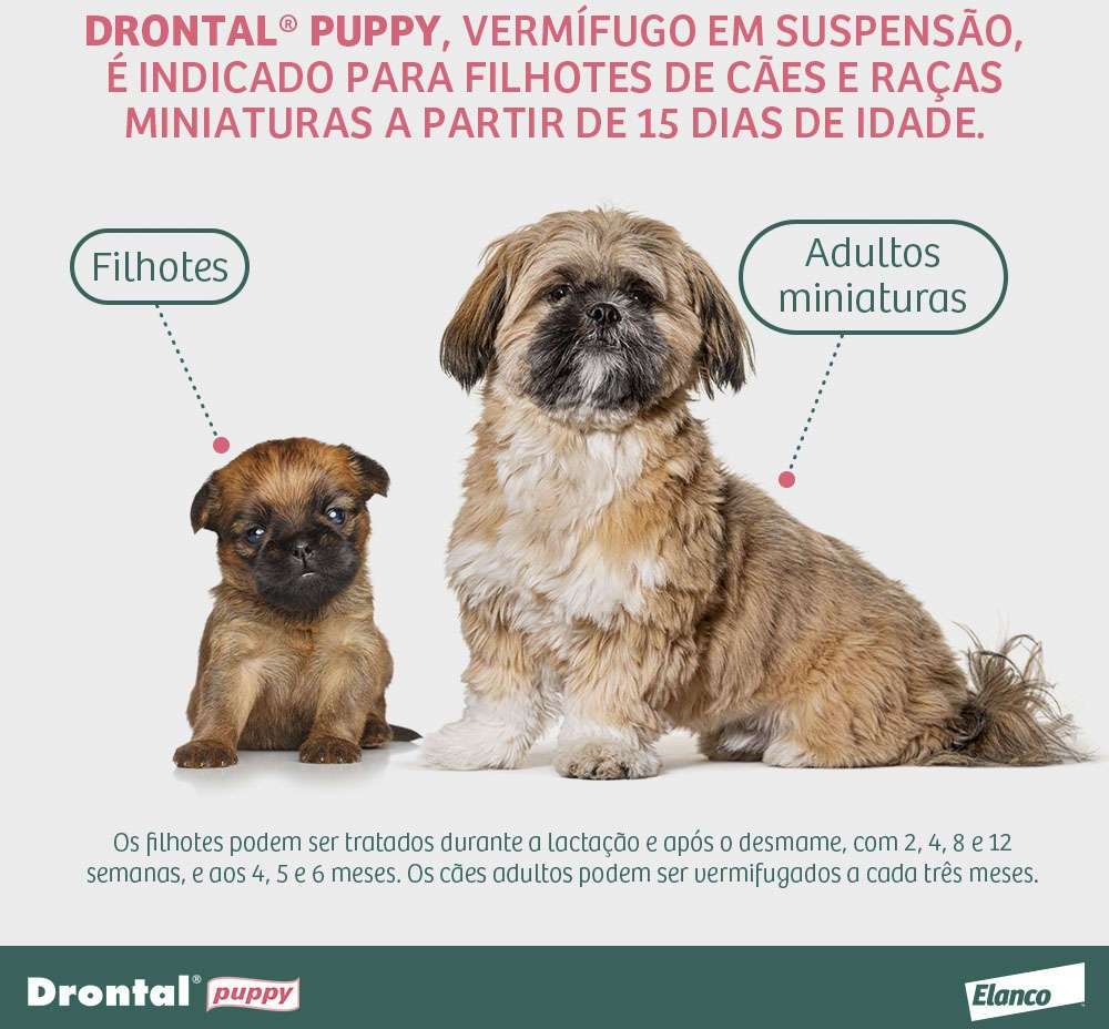 Vermífugo Drontal Puppy para Cães Filhotes - 20 mL