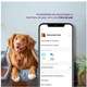 Alimentador Automático Inteligente Geonav Wi-fi para Cães Pequenos e Gatos
