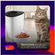 Alimentador Automático Inteligente Geonav Wi-fi para Cães Pequenos e Gatos