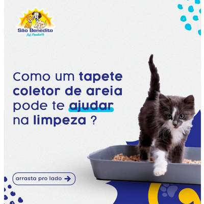 Tapete Sanitário São Benedito Pet Coletor de Areia TapeCats Amarelo para Gatos Pequeno Porte