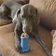 Brinquedo Recheável Kong Treatster
