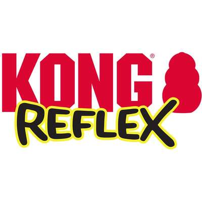 Brinquedo Mordedor Kong Reflex Flyer