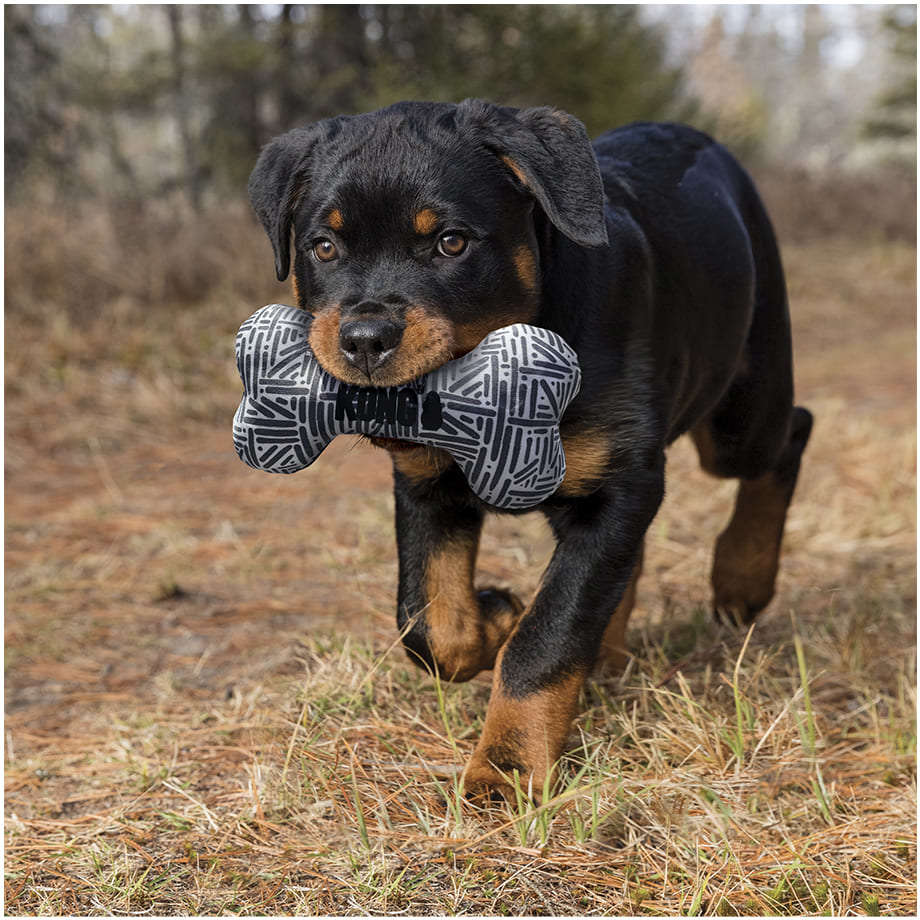 Brinquedo Pelúcia Kong Maxx Bone - Tam. M