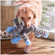 Brinquedo Pelúcia Kong Shakers Crumples Elefante Gigante