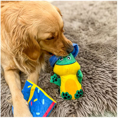 Brinquedo Mordedor Kong Puzzlements Surprise Presente