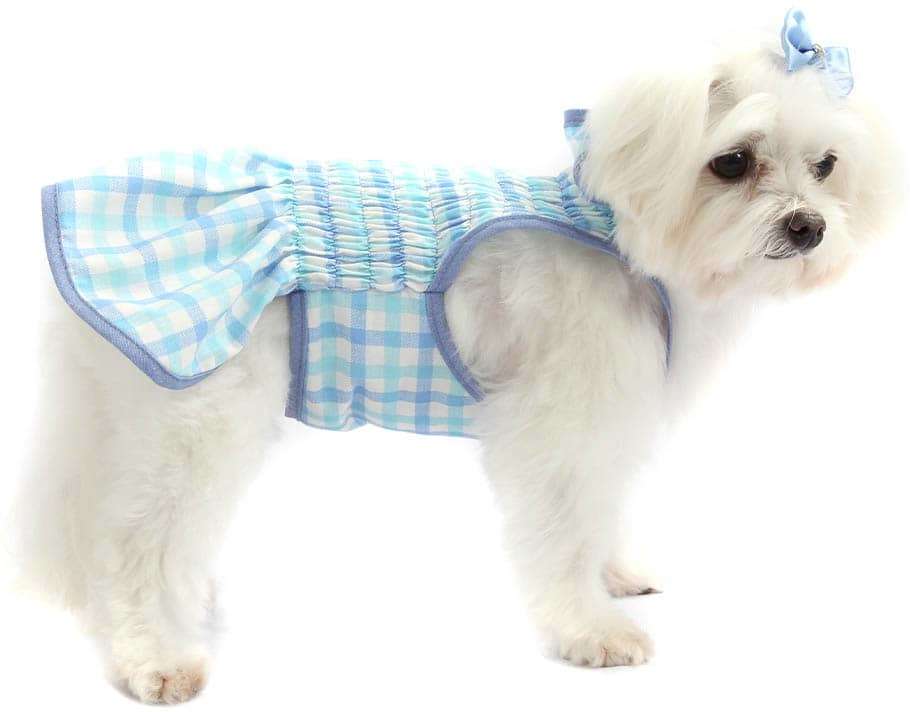 Vestido Bichinho Chic Azul Indigo - Tam. 05