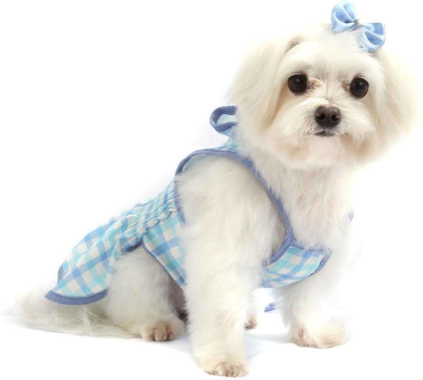 Vestido Bichinho Chic Azul Indigo - Tam. 05