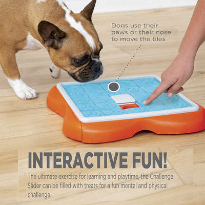 Brinquedo Interativo Nina Ottosson Challenge Slider