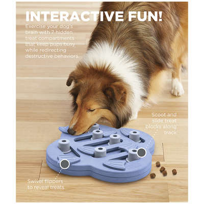 Brinquedo Interativo Nina Ottosson Tabuleiro Dog Hide N Slide Blue