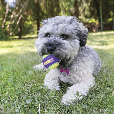 Brinquedo Bolinha Kong Crunch Air com 3 Unidades