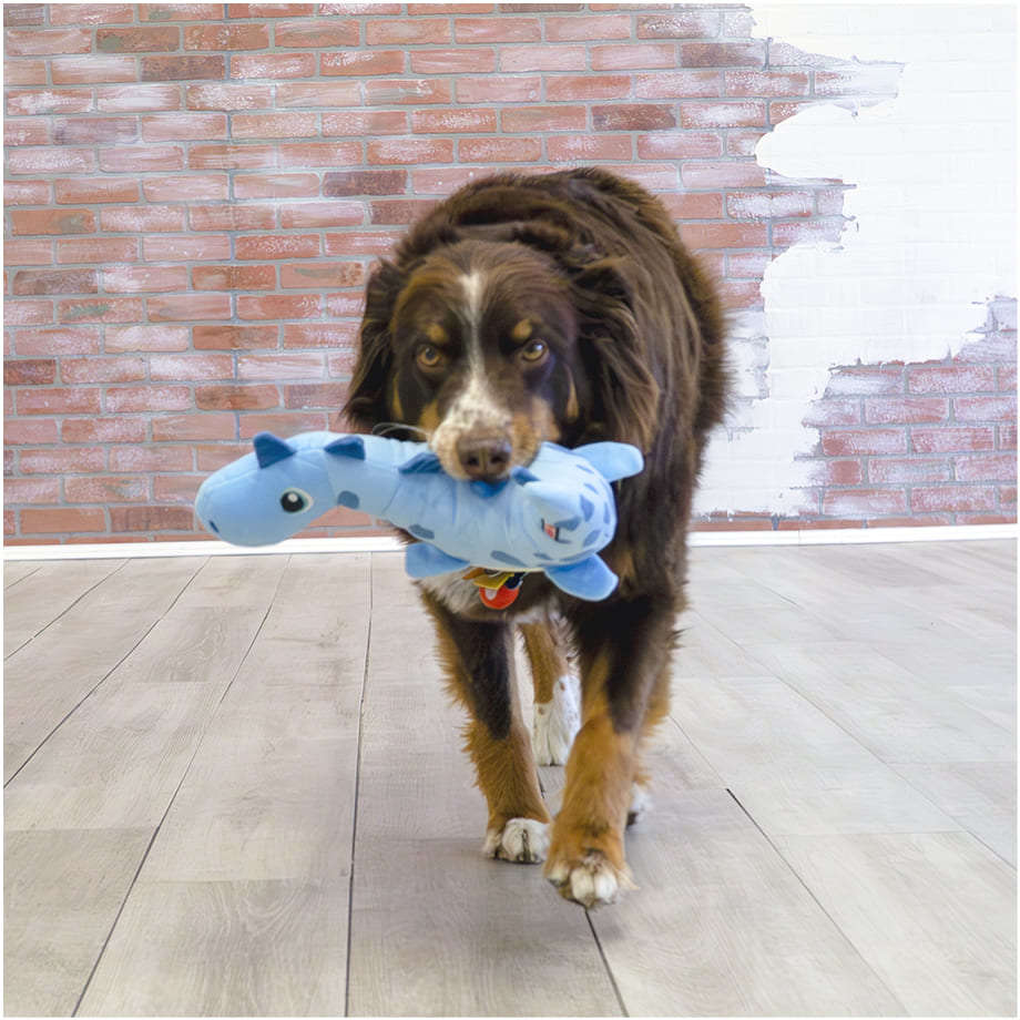 Brinquedo Pelúcia Kong Dynos Roars Dinossauro Azul - Tam. Único